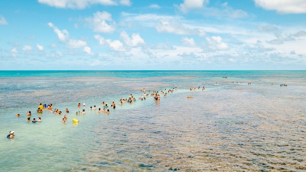Turistas no banco de corais de Picaozinho, na maré baixa, perto da praia de Tambaú.