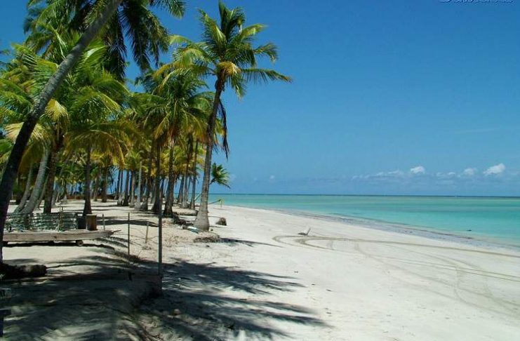 Praia do Toque em São Miguel dos Milagres - Alagoas é uma das praias mais bonitas do Brasil