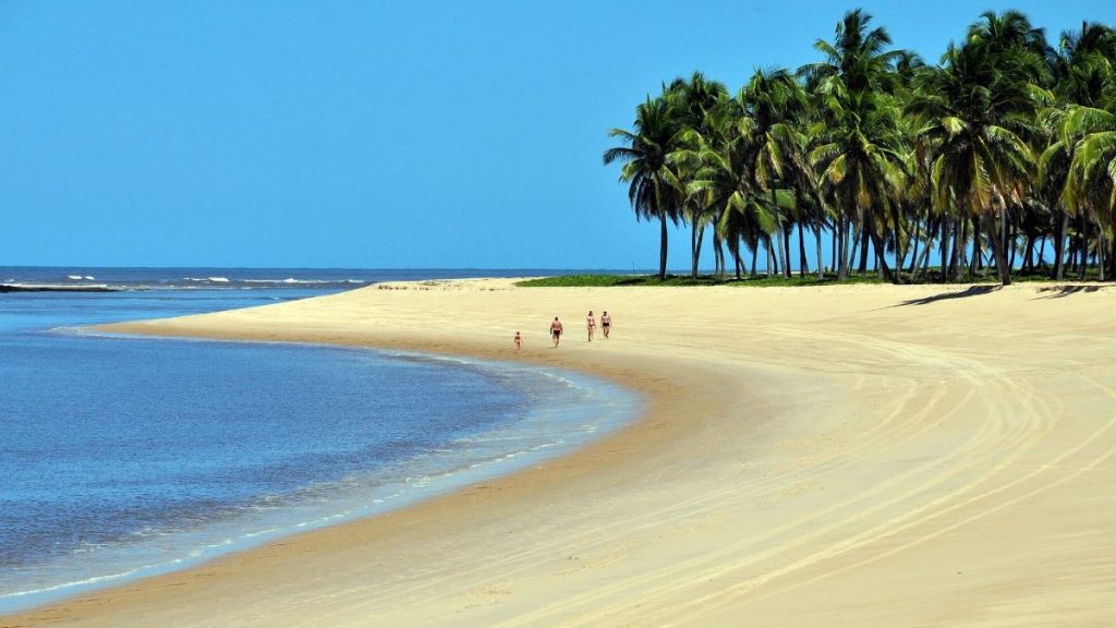 Conhecer Praia do Gunga é ter certeza que Alagoas é o Caribe brasileiro.