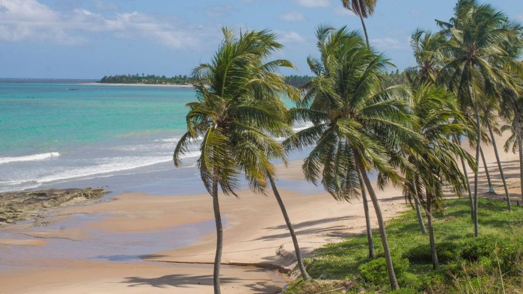 Conhecer a praia de Japaratinga é ter certeza que Alagoas é o Caribe brasileiro.