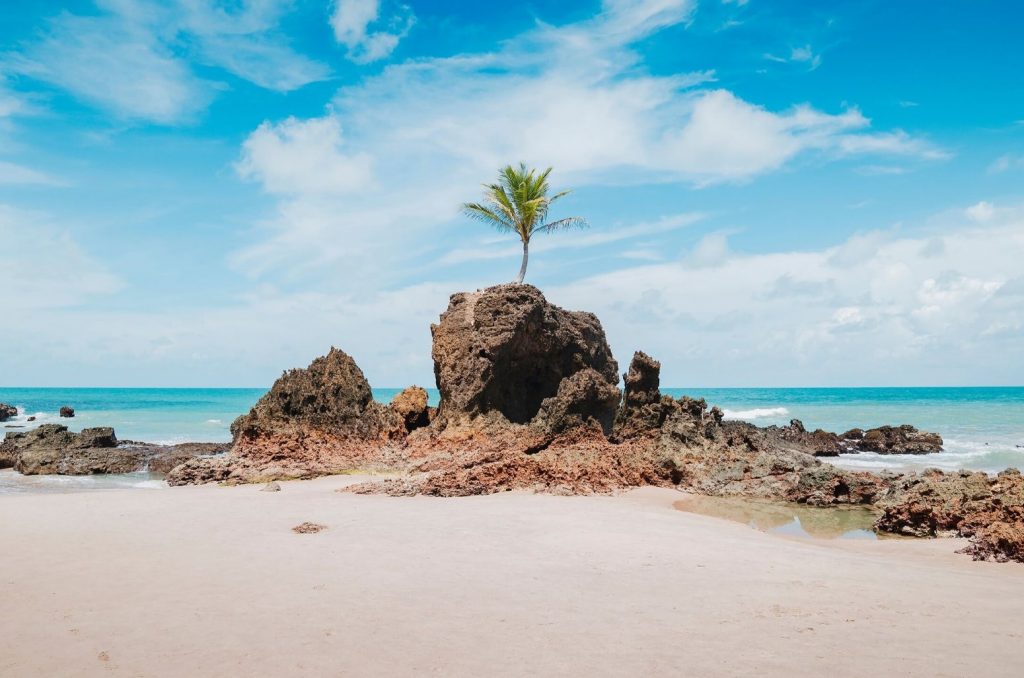 Vista da praia de Tambaba, Costa do Conde, Paraíba, Brasil. Famosa praia junto ao coqueiro que crescia em cima de uma rocha. Bela praia do nordeste brasileiro [Foto: shutterstock]