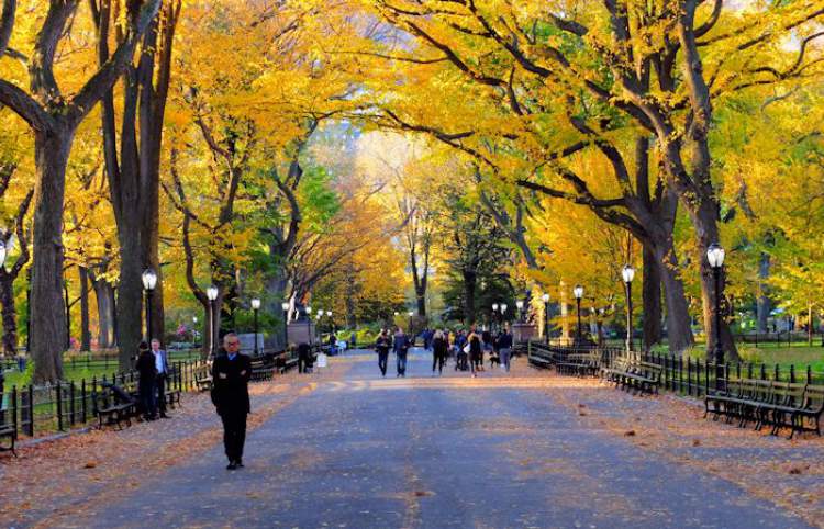 O que fazer em Nova York Visitar o Central Park