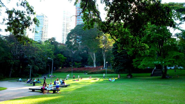 O que fazer em São Paulo: Visitar o Parque do Ibirapuera