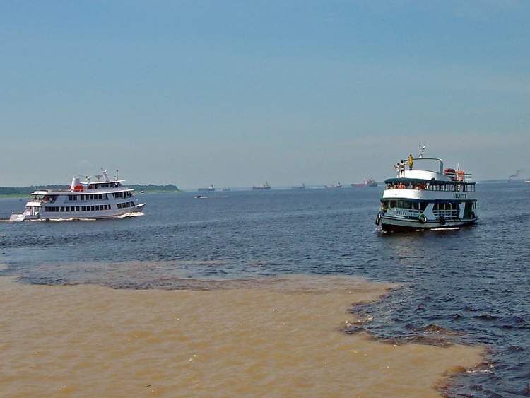 Manaus é um dos melhores destinos para viajar em Junho