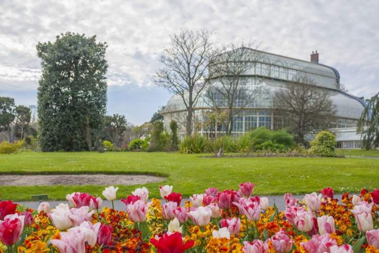 Jardim Botânico Nacional é uma das atrações gratuitas em Dublin