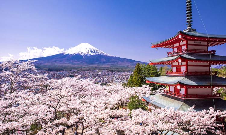 Japão é um dos melhores destinos para viajar ainda em 2018