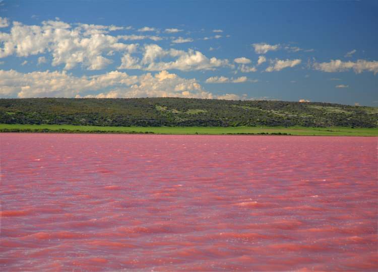 Masazirgol em Azerbaijão é um dos lagos cor de rosa existentes ao redor do planeta