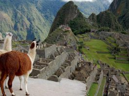 O que fazer em Machu Picchu