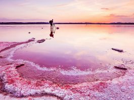 lagos cor de rosa existentes ao redor do planeta