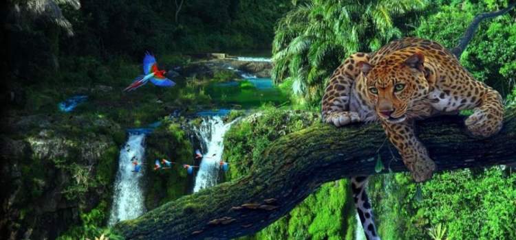 Amazônia é um dos melhores destinos turísticos do mundo