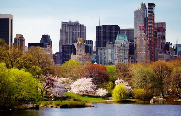 Conhecer o Central Park uma das coisas para fazer em Nova York