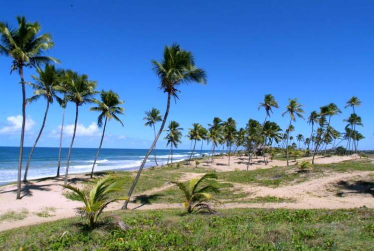 Camaçari é um dos destinos baratos para você viajar pela Bahia
