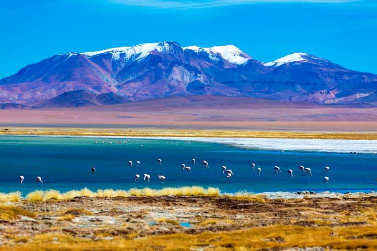 Melhor época para ir ao Chile com foco no Deserto do Atacama