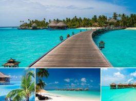 coisas que você precisa saber antes de viajar para as Ilhas Maldivas