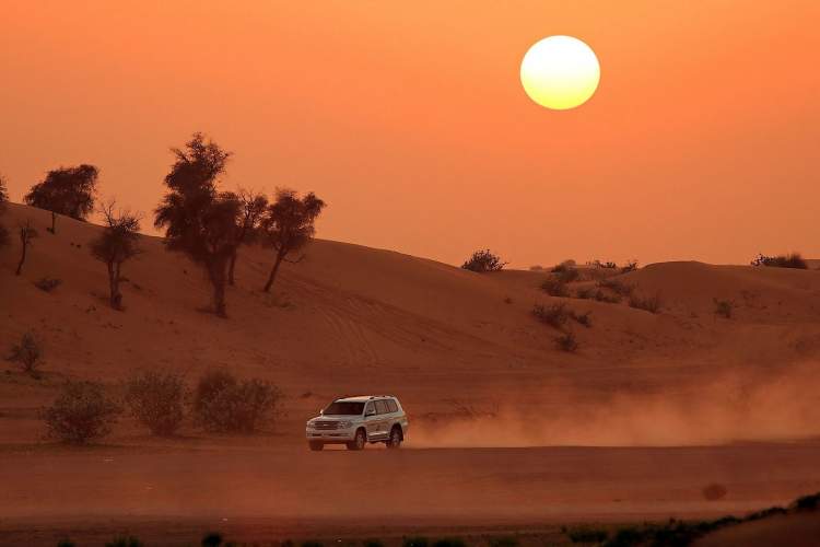Safari no Deserto de em Abu Dhabi