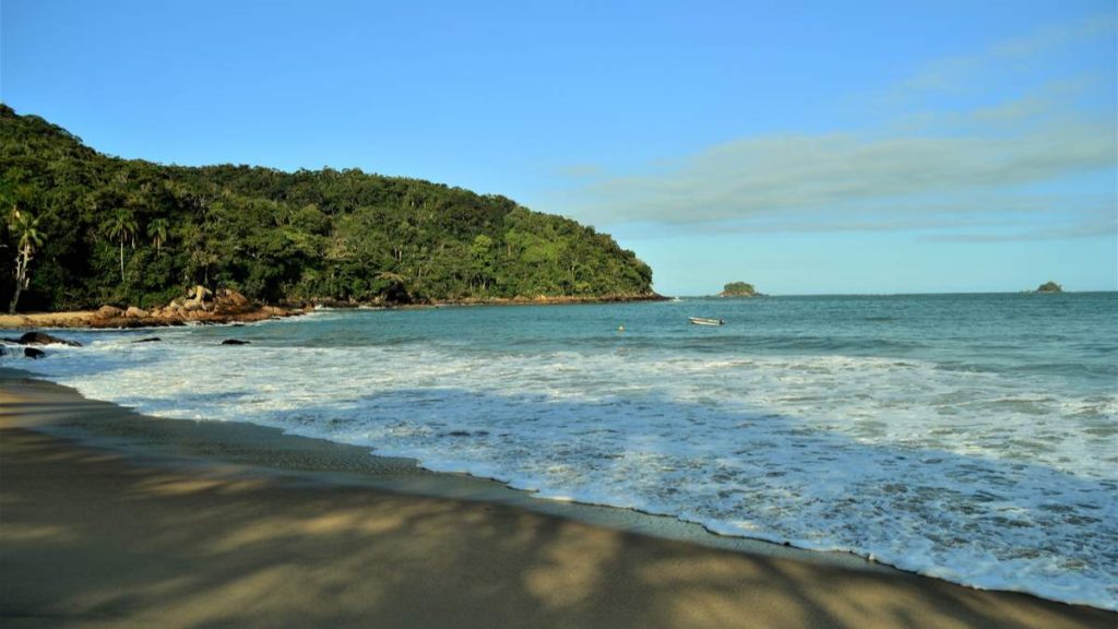 Cedro do Sul é uma das praias desertas em Ubatuba - São Paulo