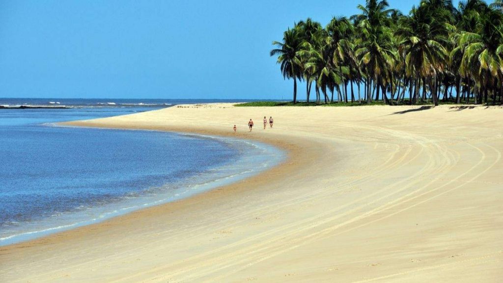 Praia do Gunga em Alagoas é uma das mais belas praias do Brasil
