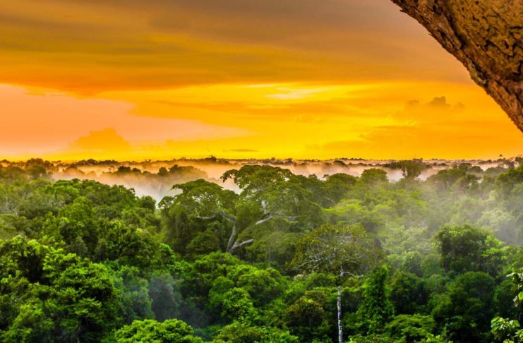 Pôr do sol sobre as árvores na floresta brasileira do Amazonas.