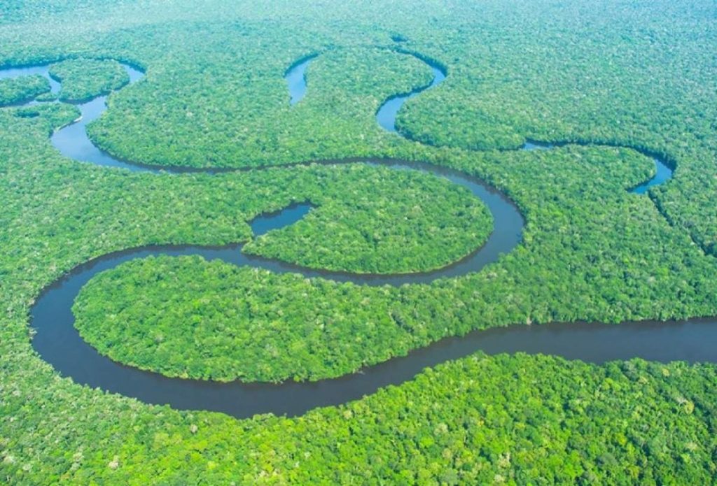 Parque Nacional do Jaú é um dos incríveis lugares para visitar na Amazônia